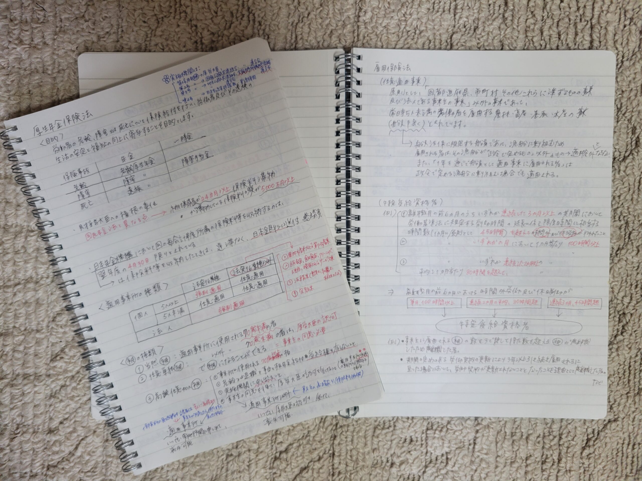社労士勉強マイノート(2冊)
