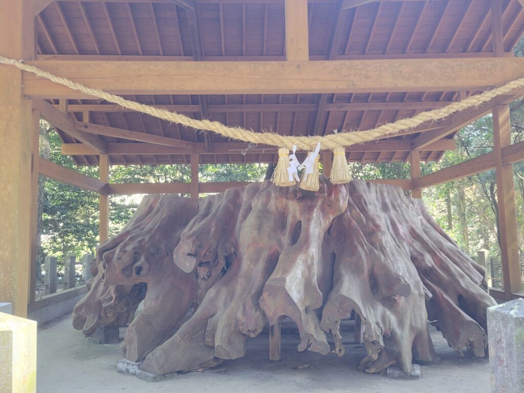 国造神社(杉)