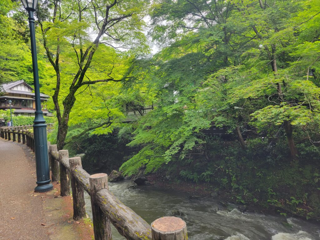 滝道散歩①
