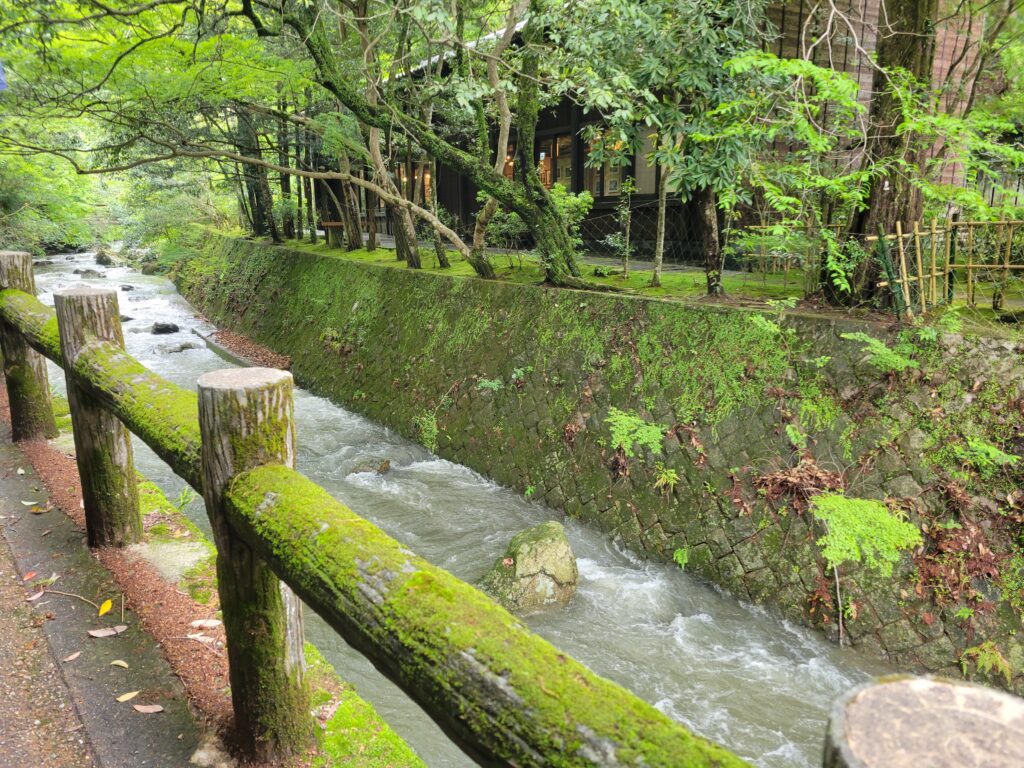 滝道散歩②